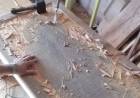 Roberto Mandrini elabora obras en su taller