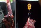 Infracciones y Estafas en Cuarentena