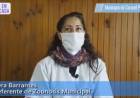 Indicaciones para el manejo de animales sospechosos de rabia