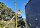 Roban en la planta cerealera de la firma Pucará
