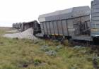 Ferrosur Roca, suma conflictos no soluciones en el Ramal Pringles