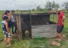 Nueva entrega de ponedoras