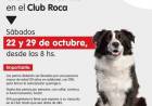 El Club Roca se suma a las Campañas de castraciones masivas en clubes de nuestro distrito 