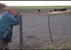 Los delitos rurales y la necesidad de atacar un problema muy preocupante