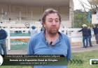 "Si se acomoda la economía el sector agropecuario tiene futuro"