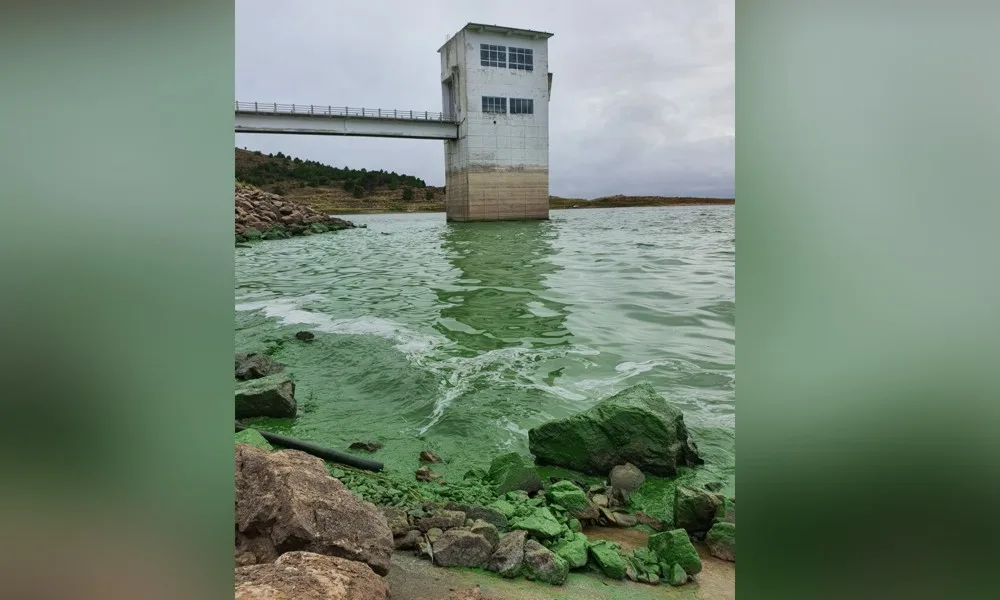 Algas en el dique: ¿Qué obras faltan en la planta Patagonia para evitar los cortes de agua?