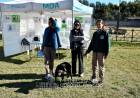 Día del Amimal con múltiples actividades en el CAPS Maggi