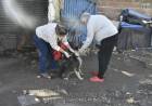 Vacunación en anillo en el Barrio Roca