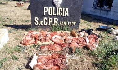 POLICIALES: Infraccionaron a pringlenses con 170 kilos de carne de jabalí