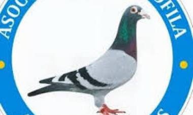 COLOMBOFILAS