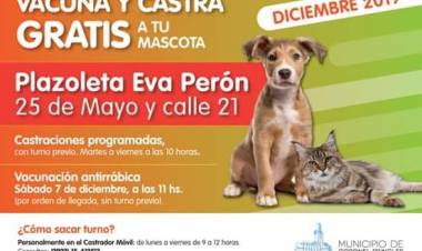 Castrador Móvil en Diciembre