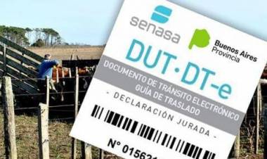 Contacto SENASA tareas a distancia durante cuarentena COVID-19