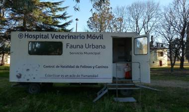 Se vacunaron un total de 62 perros y 11 gatos