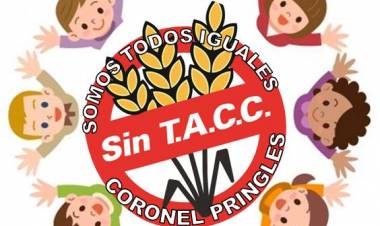 "Desde el primer día, hace tres años, empezamos a trabajar en la concientización"