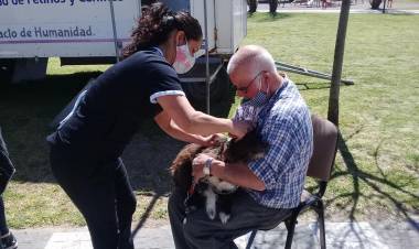 Vacunación Antirrábica en la Plaza San Martín