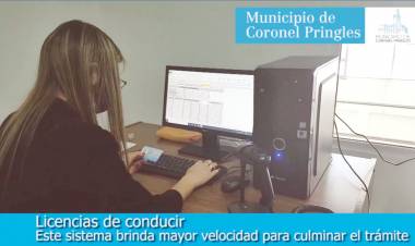 Ciudad: "La tecnología tiene una capacidad de impresión que ronda las 200 licencias por día"