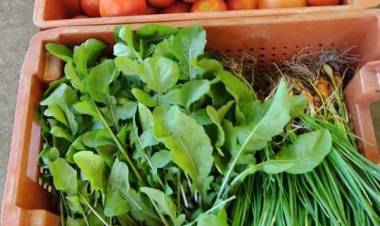 Producción entregó verdura fresca al Hospital