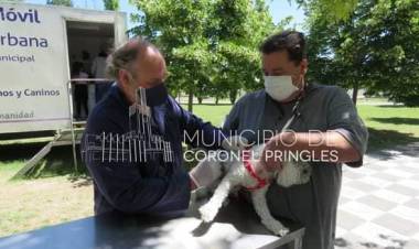 Nueva campaña de vacunación antirrábica masiva para perros y gatos