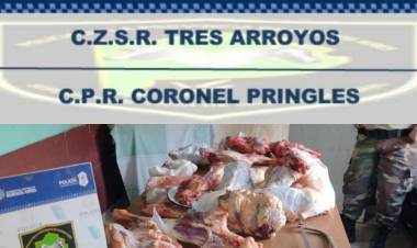Secuestraron más de 100 kilos de carne robada en Pringles