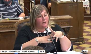 "El encargado de controlar que las ordenanzas se cumplan es el Departamento Ejecutivo"