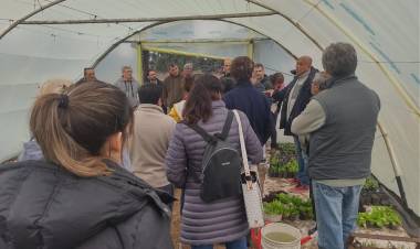 “Curso Anual de Horticultura Agroecológica”