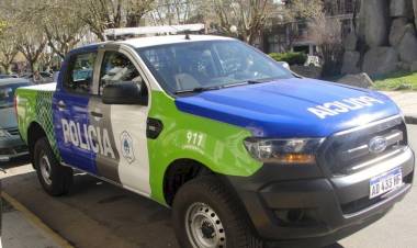 Policial: Hurto y Aprehensión