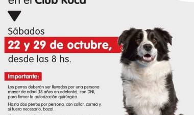 El Club Roca se suma a las Campañas de castraciones masivas en clubes de nuestro distrito 