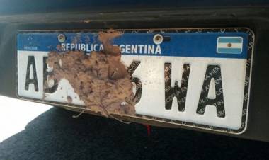 Estacionar en la vía pública sin patente o si se dificulta su visualización, será pasible de multas en Coronel Pringles