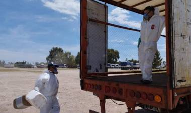 Resultados positivos en la última camapaña de recolección de envases vacíos de fitosanitarios del año