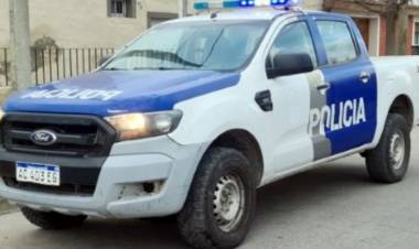 Policial: Denunció la sustracción de 7 ovinos de su propiedad