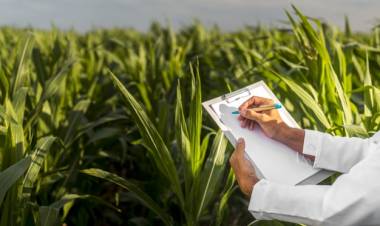 Estudiá en Pringles Formación Profesional en Producción Agropecuaria con Orientación en Producción Agrosostenible