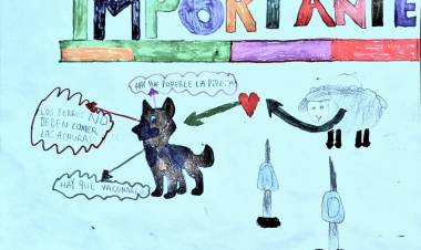 El área de Zoonosis dio a conocer los ganadores del concurso “Convivencia sana con nuestros animales”