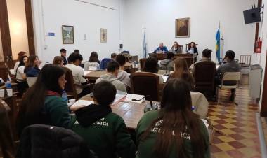 El Parlamento Juvenil del Mercosur sesionó en Pringles