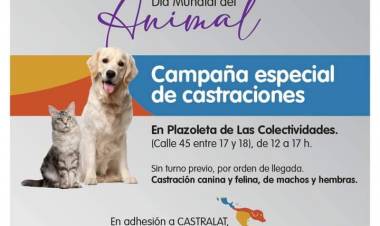 Castración Masiva en la Plaza de las Colectividades