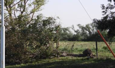 Piden la limpieza del cauce del Arroyo Pillahuincó