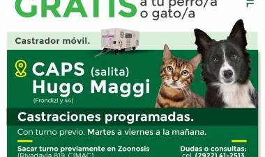 Castraciones y vacunaciones gratuitas
