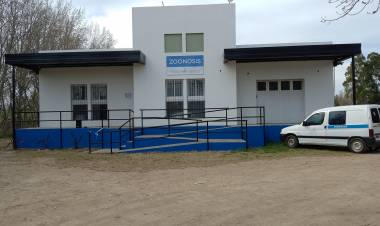 Información sobre vacunación antirrábica, castraciones, accidentes por mordedura y animales sueltos