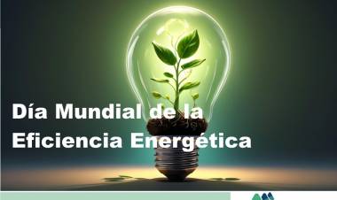 5 de marzo: Día Mundial de la Eficiencia Energética (CELCOP)