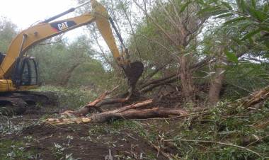 Limpieza del cauce del Arroyo Pillahuincó