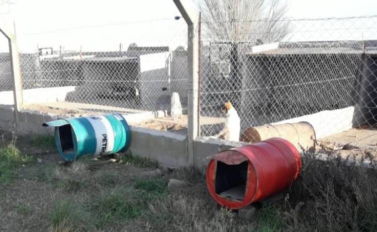 ¿Querés ayudar a los perritos del Refugio?