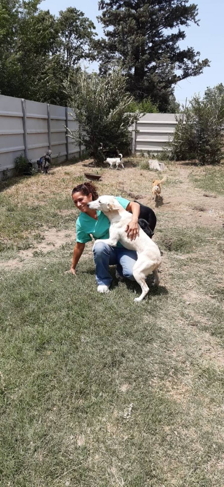 Vecinos Solidario