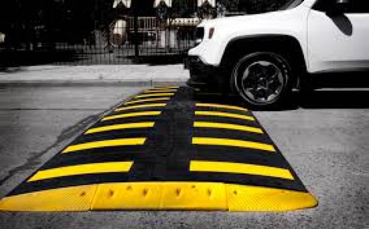 HCD-Autorizarán al Ejecutivo a establecer la colocación de reductores