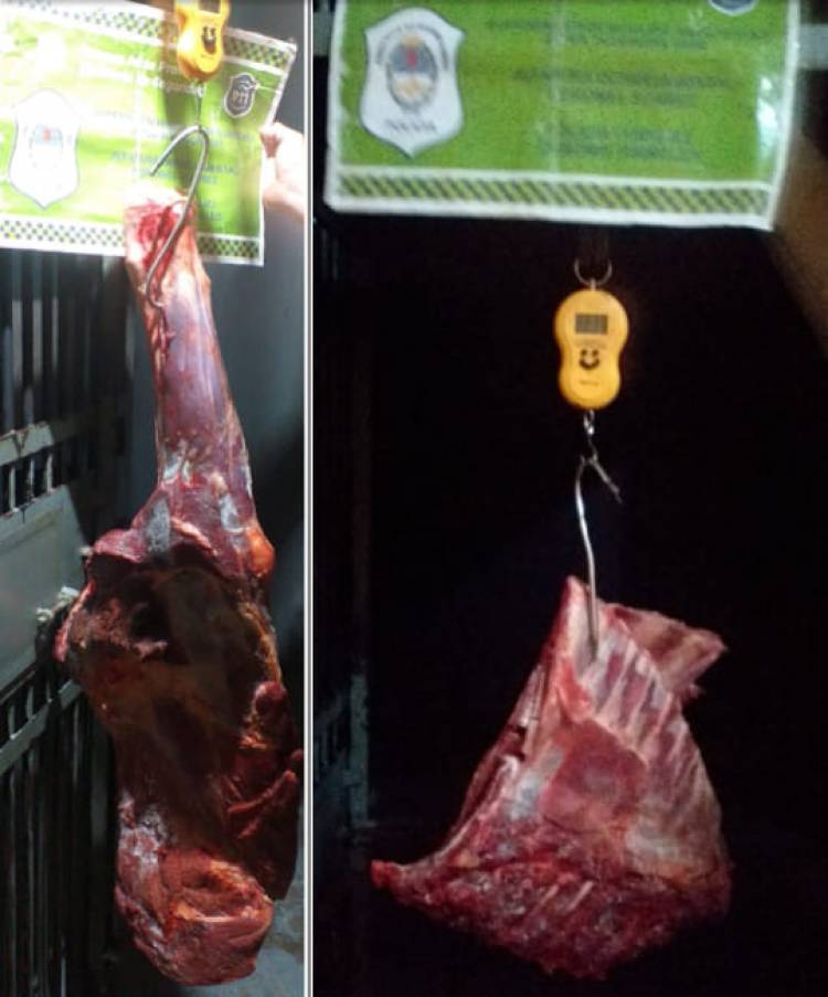 Infracciones y Estafas en Cuarentena