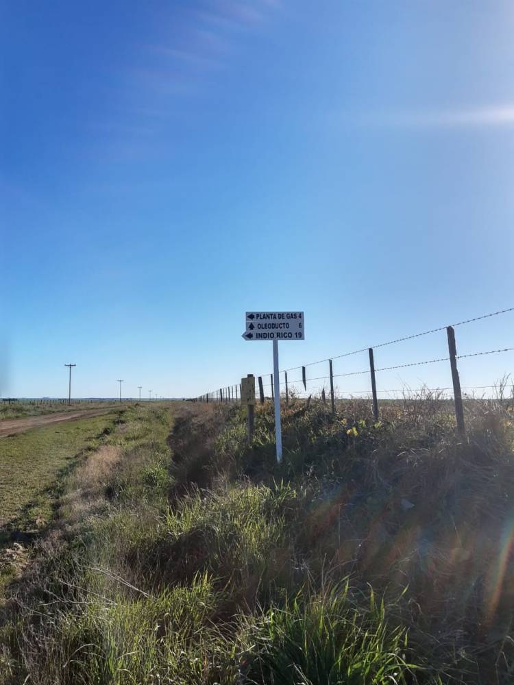 Cartelería