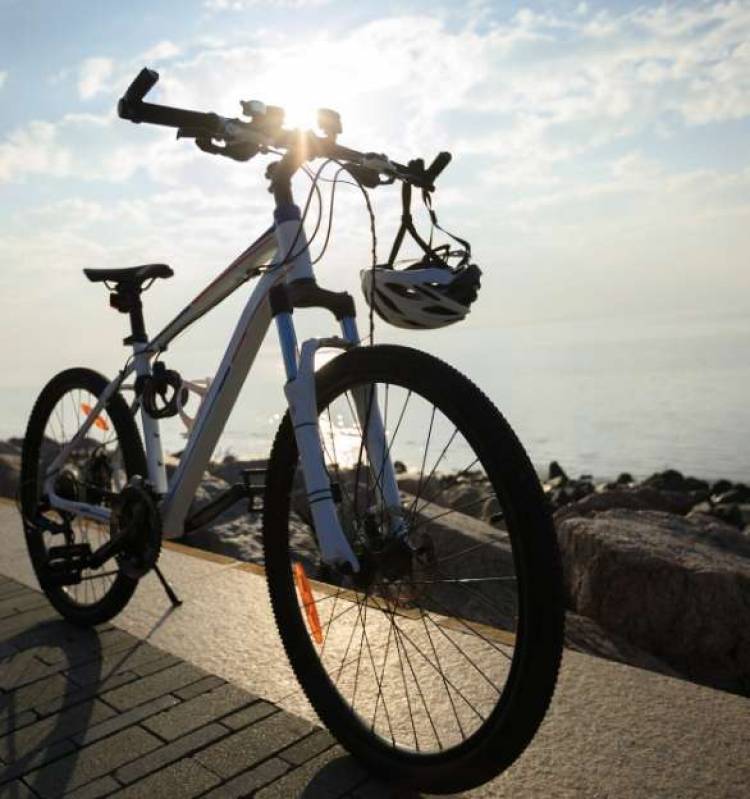 Seguros para bicicletas