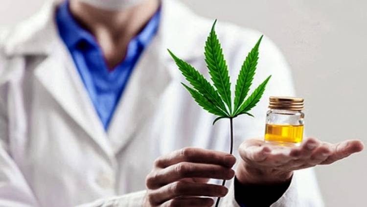 Estudio del Cannabis