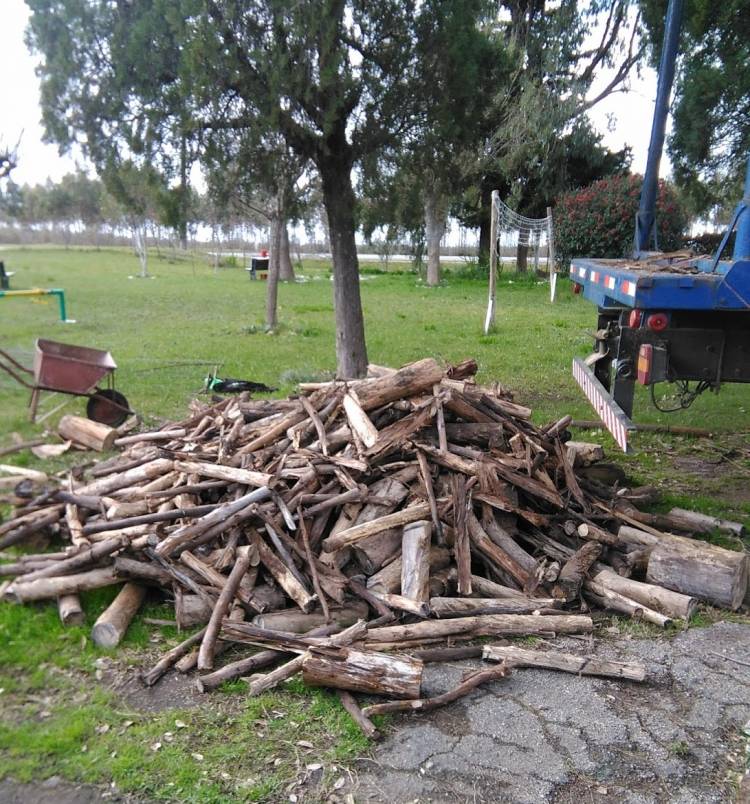 HCD: Solicitan al Consejo Escolar la provisión de leña a escuelas rurales