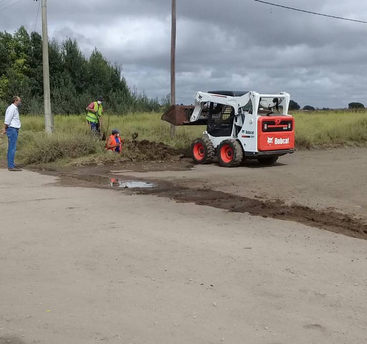 "Hoy tenemos problemas para conseguir cotizaciones"