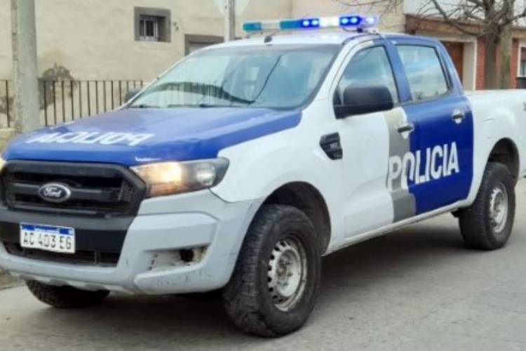 Policial: Denunció la sustracción de 7 ovinos de su propiedad