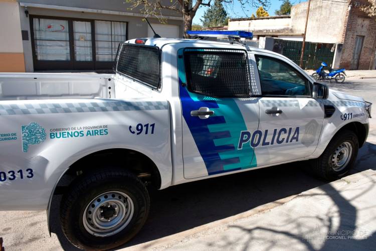 Policial: Daño, Hurto, Amenazas y Detenciones